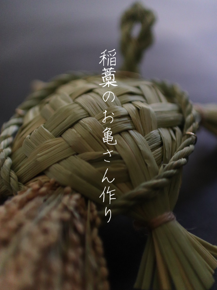 稲藁のお亀さん作り